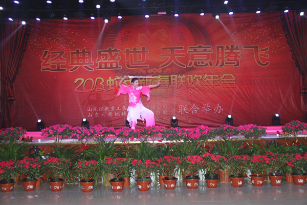 经典集团2013年会暨新春文艺联欢会在集团宴会厅盛大举行