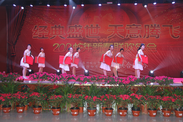 经典集团2013年会暨新春文艺联欢会在集团宴会厅盛大举行