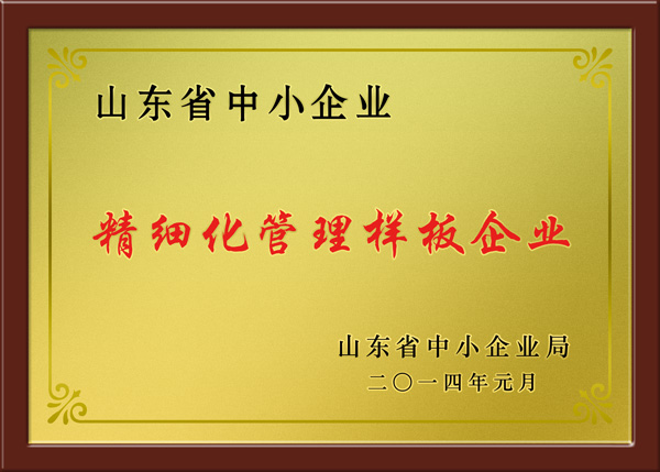 经典集团被认定为山东省2013年细腻化治理样板企业