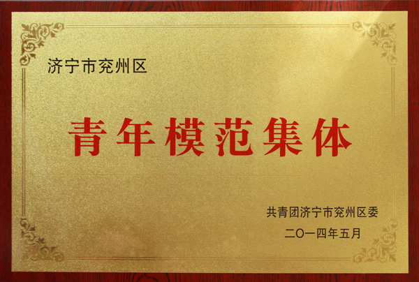 经典集团加入兖州区纪念五四运动95周年暨共青团践行群众蹊径助力青年生长报告会